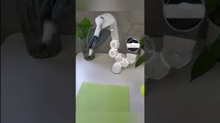 ClicBot's skill #clicbot #clicbotrobot #petrobot #petbot #airobot