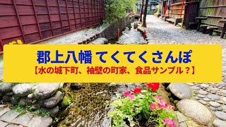【てくてくさんぽ】郡上八幡  水の城下町、袖壁の町家の町並み〈やなか水のこみち、いがわ小径〉Walk around Gujo Hachiman,GIFU JAPAN