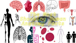 Anatomy Masterclass for Doctors Facts That Will Blow Your Mind || Speeches N Stories