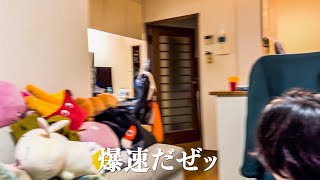 【神回】新しい同居人が来た