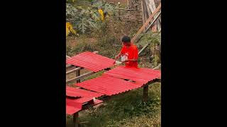 Bukid life #bukidfeels #farming #farmingcareer
