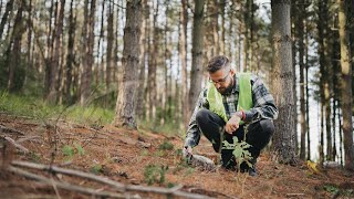 Earn a Master’s in Conservation and Wildlife Biology Online with CSU
