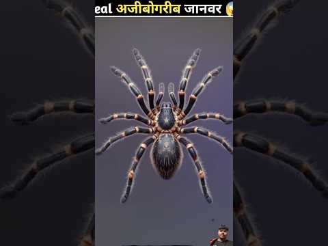 😱😱 #facts #amazingfacts #animals #factsinhindi #viralvideo #factsero #funny #cartoon #viralvideo