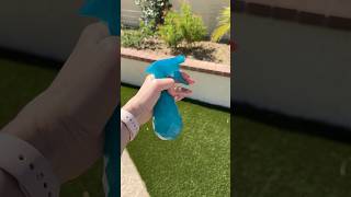 Easy summer tips for insects and bugs #home #diy #cleaning #summer #fyp