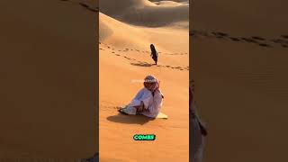 5 Unique Facts About the United Arab Emirates #UAEFacts #DiscoverUAE #UniqueUAE #ExploreDubai