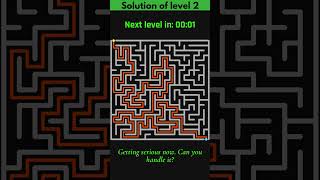 Can You Solve These 3 Maze Puzzles? 🧩 Ultimate Brain Game!