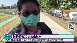 台南鹽水月津港船屋 白天迷人晚上嚇人｜華視新聞 20211207