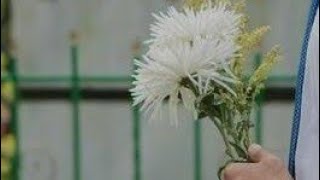 サウナ事業のHabitat、北村功太社長の死去を公表　「2025年2月4日、享年29歳で」 “ご遺族”の意向も記す