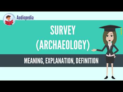What Is SURVEY (ARCHAEOLOGY)? SURVEY (ARCHAEOLOGY) Definition & Meaning