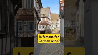 Wine in Germany? #freedomofmovement #braubach #germany #history