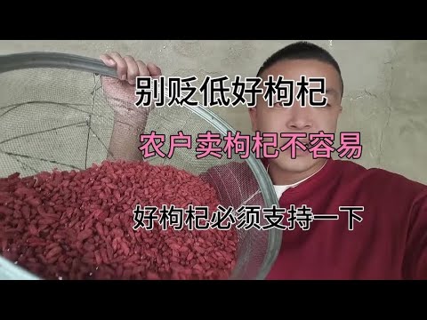 大家都来评理，像这种特征的枸杞熏了吗？用事实说话吧各位网友