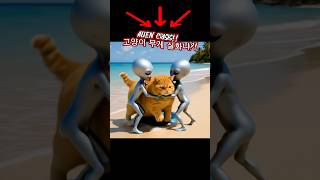 Alien Crisis‼️고양이 무게 실화냐?!😵납치는 성공했지만… 착륙은...🙀They Abducted the Cat… But...😹