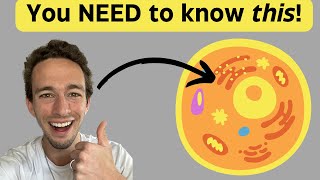 Membrane Bound Organelles in 5 minutes!