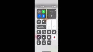 Buy a Plant with Pot in Augmented Reality | Apple Pay Integrated for iOS | WebAR