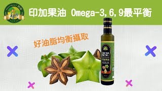 【肯寶KB99營養小知識】印加果油 Sacha Inchi Oil (星星果)