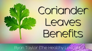Coriander Leaves: Benefits and Uses (Dhania/Cilantro)