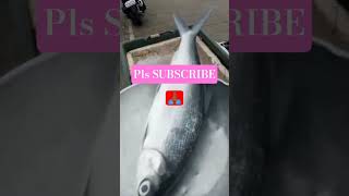 pls Subscribed