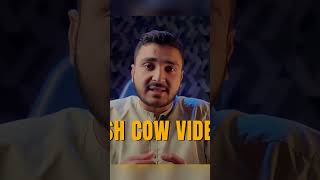 What is cash cow #davinciresolve #cashcowchannel #videoediting