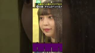 世界一可愛い｢おさんぽ、バイト｣ #阪口珠美 #乃木坂46 #乃木坂工事中 #shorts