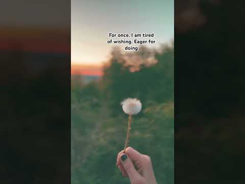 💭🧹 livin in a dream #film#beauty#flower#nature#philosophy#dreams#action#livinglife#start#words