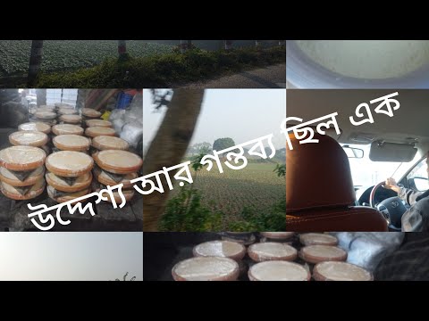 আমাদের গন্তব্য আর উদ্দেশ্য ছিল একই পথে তাই গাড়ি থামিয়ে আলদি বাজারে মাঠা খেলাম