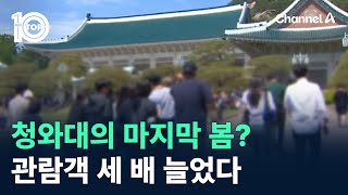 청와대의 마지막 봄?…관람객 세 배 늘었다 / 채널A / 뉴스TOP 10