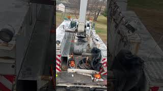#arboristing #bluecollar #treeservice #stihl #treeservice #eastcoast