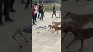 robot dog #robotdog #dogrobot #youtubeshort #shortsvideo #shorts #viral