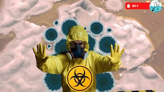 Can plant pathogen infect Humans? || First Case of Human Infection by Plant Fungus: All Need to Know
