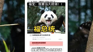韩网热议 福宝当大总统 支持率高达99% 另外22个可能支持东北虎