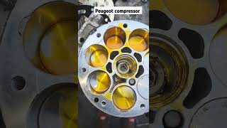 Peugeot compressor #automobile #autoaccessories #carac