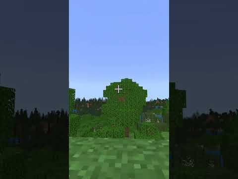 ずっとループする動画 【MInecraft】 【Short】 #shorts