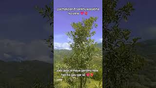 #longvideo view