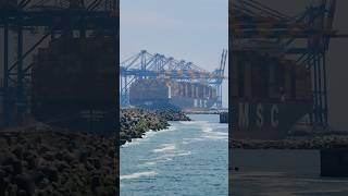 MSC Anna at Vizhinjam international port #msc #ship #trivandrum