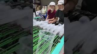 #hotsale lemon/tea/juice/beverage/Dudu/coffee cup#forming #servos PET milk tea cup#makingmachine