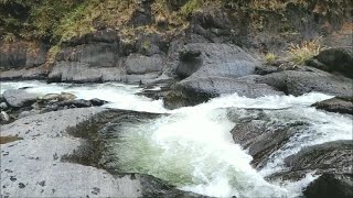 【泰崗野溪溫泉】 竹林密湯 溪水長期沖刷.將大石切割出特殊的景觀   探勘-PETER家族