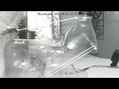 DIY humane mouse trap - works most of the time