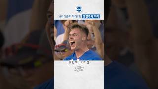 브라이튼 미래라던 유망주의 충격적 근황