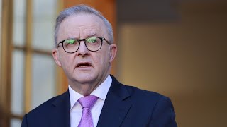 ‘We cannot deny Hamas’ role in this’: Albanese’s condemnation of Israel analysed