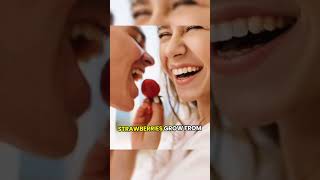 Strawberry#viral #trending #fyp #shorts #explore #reels #videooftheday #trend #funny #entertainment