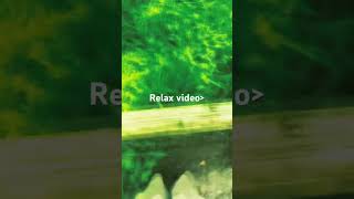 ) #relaxvideo #music #nature #aesthetic #fyp