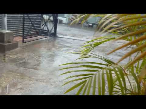 heavy rainfall 🌧️🌧️🌧️🌧️in chase village.😨