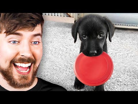 Funny ANIMALS videos 😊 Funniest CATS😺 and DOGS🐶 2025