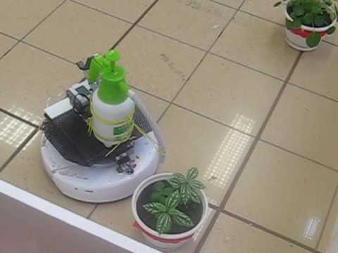 Plant Watering Robot