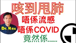 (中英字幕EngSub) 呼吸系統合胞病毒全網最簡單的解說，看一遍完全了解 Respiratory syncytial virus explained in very simple terms