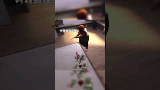 這個位置絕對無敵！ #games #遊戲頻道 #小游戏 #电玩游戏解说 #游戏 #遊戲 #搞笑 #躲貓貓