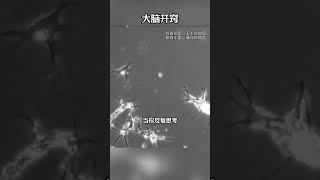 为什么脑子越用越聪明呢？ #大脑 #生命科学 #神经元 #科普知识