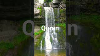 SURAH MAIDA AYAT 118-122 WITH URDU TRANSLATION