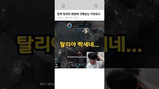 깜짝 탈리야 때문에 고통받는 구마유시