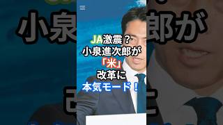 JA激震？小泉進次郎が“米”改革に本気モード！